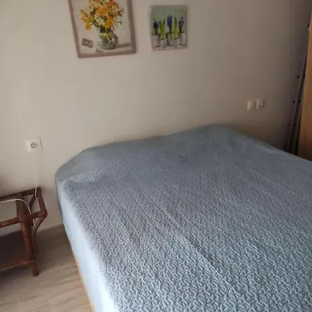 Zeusplace 2